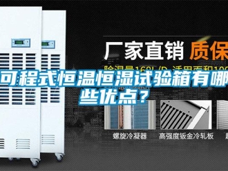 知識百科可程式恒溫恒濕試驗箱有哪些優點？
