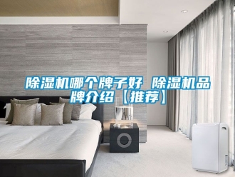 企業(yè)新聞除濕機(jī)哪個(gè)牌子好 除濕機(jī)品牌介紹【推薦】