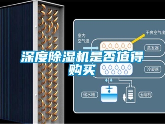 知識百科深度除濕機是否值得購買