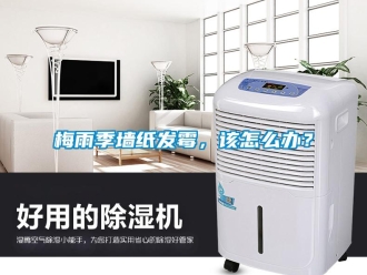常見問題梅雨季墻紙發(fā)霉，該怎么辦？