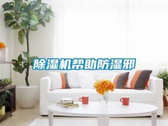 常見問題除濕機幫助防濕邪