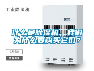 知識百科什么是除濕機，我們為什么要購買它們？