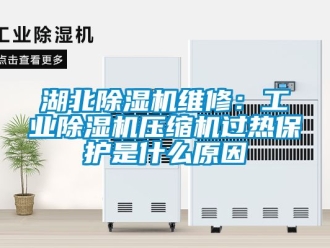 常見問題湖北除濕機(jī)維修：工業(yè)除濕機(jī)壓縮機(jī)過熱保護(hù)是什么原因