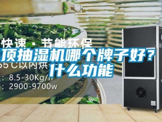 企業新聞吊頂抽濕機哪個牌子好？有什么功能