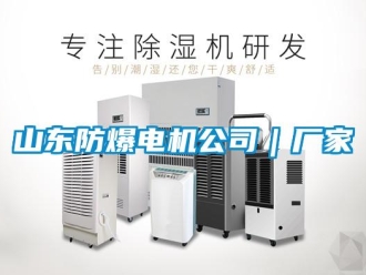 企業(yè)新聞山東防爆電機(jī)公司｜廠家