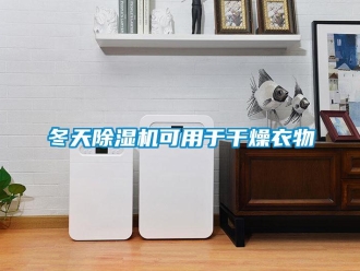 企業新聞冬天除濕機可用于干燥衣物