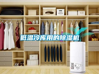 行業新聞低溫冷庫用的除濕機
