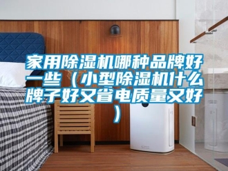 企業(yè)新聞家用除濕機(jī)哪種品牌好一些（小型除濕機(jī)什么牌子好又省電質(zhì)量又好）