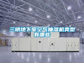企業(yè)新聞三明地下室空氣抽濕機(jī)類型有哪些
