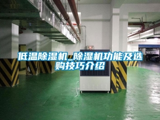 行業(yè)新聞低溫除濕機_除濕機功能及選購技巧介紹