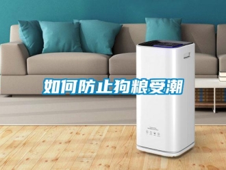 常見問題如何防止狗糧受潮