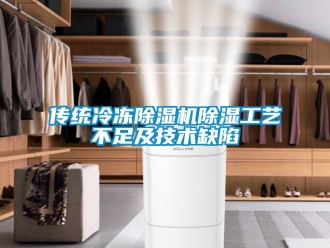 企業新聞傳統冷凍除濕機除濕工藝不足及技術缺陷