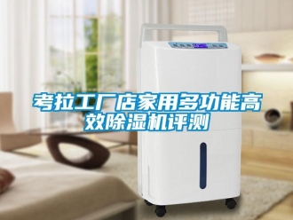 行業(yè)新聞考拉工廠店家用多功能高效除濕機(jī)評(píng)測(cè)