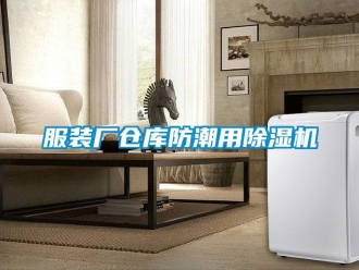 企業(yè)新聞服裝廠倉庫防潮用除濕機