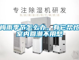 常見問題梅雨季節怎么辦，有它幫忙室內回潮不用愁