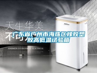 常見問題廣東省廣州市海珠區橡膠塑膠高低溫試驗箱