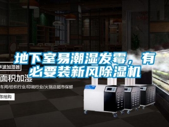 常見問題地下室易潮濕發霉，有必要裝新風除濕機