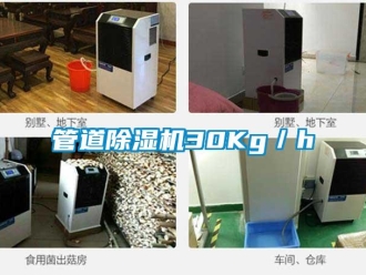 行業(yè)新聞管道除濕機(jī)30Kg／h
