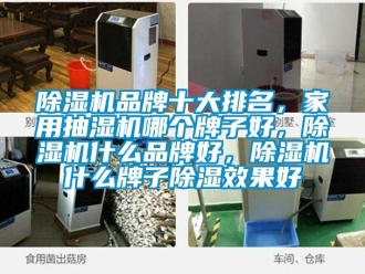 企業新聞除濕機品牌十大排名，家用抽濕機哪個牌子好，除濕機什么品牌好，除濕機什么牌子除濕效果好
