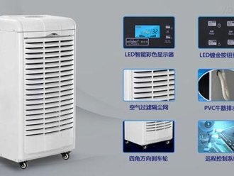 企業新聞寵物倉鼠到底怕不怕梅雨季的潮濕天氣？