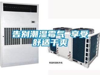 企業新聞告別潮濕霉氣 享受舒適干爽