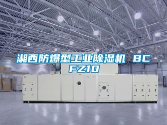 企業(yè)新聞湘西防爆型工業(yè)除濕機 BCFZ10