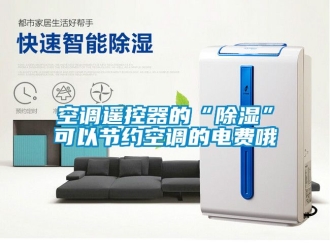 行業(yè)新聞空調(diào)遙控器的“除濕”可以節(jié)約空調(diào)的電費哦