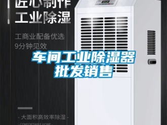 企業(yè)新聞車(chē)間工業(yè)除濕器批發(fā)銷(xiāo)售