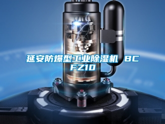 企業新聞延安防爆型工業除濕機 BCFZ10