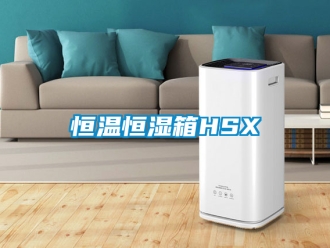 知識百科恒溫恒濕箱HSX