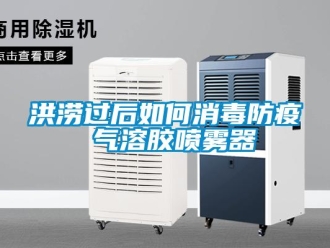 常見問題洪澇過后如何消毒防疫 氣溶膠噴霧器