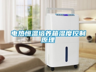 知識百科電熱恒溫培養(yǎng)箱濕度控制原理