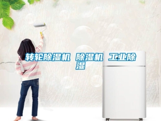 常見問題轉輪除濕機 除濕機 工業除濕