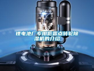 常見問題鋰電池廠專用低露點轉(zhuǎn)輪除濕機(jī)的介紹