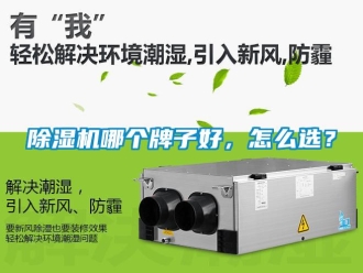 常見問題除濕機哪個牌子好，怎么選？