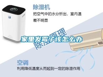 常見問題家里發霉了該怎么辦