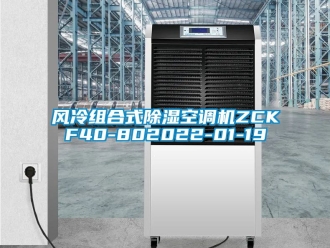 行業(yè)新聞風(fēng)冷組合式除濕空調(diào)機(jī)ZCKF40-802022-01-19