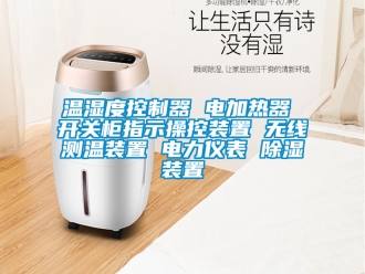 行業新聞溫濕度控制器 電加熱器 開關柜指示操控裝置 無線測溫裝置 電力儀表 除濕裝置