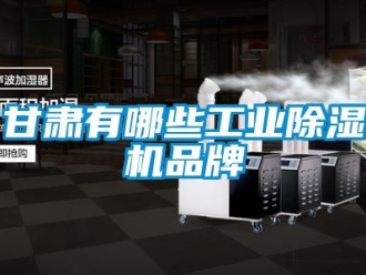 常見問題甘肅有哪些工業(yè)除濕機(jī)品牌