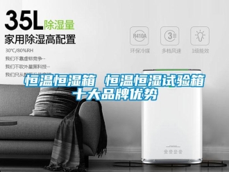 知識百科恒溫恒濕箱 恒溫恒濕試驗(yàn)箱十大品牌優(yōu)勢