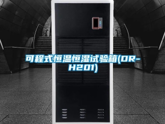 知識百科可程式恒溫恒濕試驗箱(DR-H201)