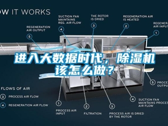 常見問題進入大數據時代，除濕機該怎么做？