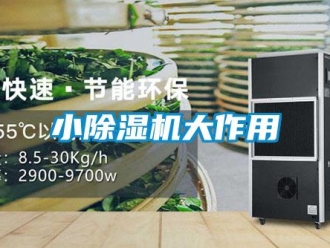 知識百科小除濕機大作用