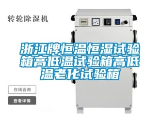 知識百科浙江牌恒溫恒濕試驗箱高低溫試驗箱高低溫老化試驗箱