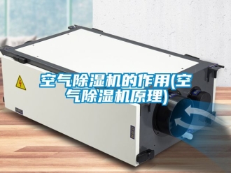 行業新聞空氣除濕機的作用(空氣除濕機原理)