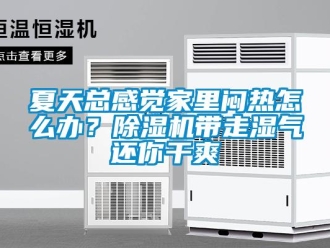行業新聞夏天總感覺家里悶熱怎么辦？除濕機帶走濕氣還你干爽