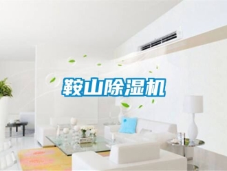 企業新聞鞍山除濕機