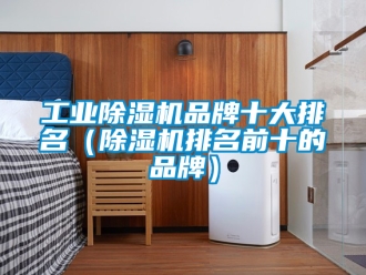 常見(jiàn)問(wèn)題工業(yè)除濕機(jī)品牌十大排名（除濕機(jī)排名前十的品牌）