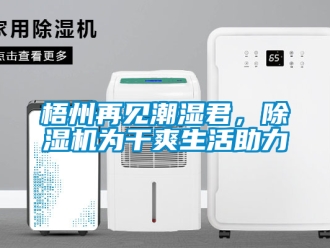 行業(yè)新聞梧州再見(jiàn)潮濕君，除濕機(jī)為干爽生活助力