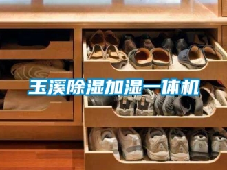 行業新聞玉溪除濕加濕一體機